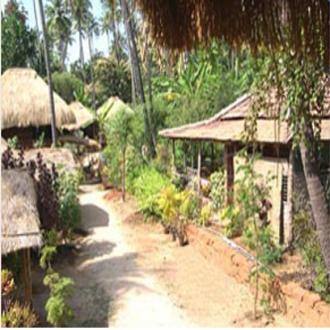 Stay In A Camping Ground In Palolem Beach, Goa 3